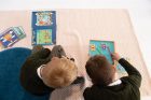 Számold meg az állatokat - Mágneses logikai játék