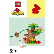 LEGO Duplo